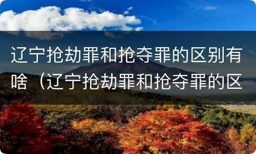 辽宁抢劫罪和抢夺罪的区别有啥（辽宁抢劫罪和抢夺罪的区别有啥区别呢）