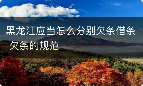 黑龙江应当怎么分别欠条借条 欠条的规范