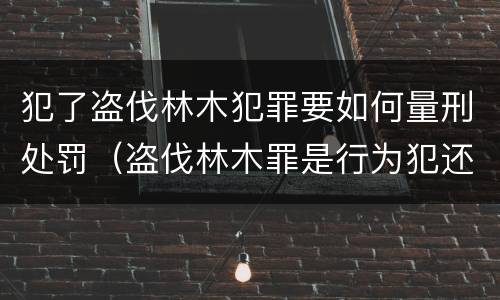 犯了盗伐林木犯罪要如何量刑处罚（盗伐林木罪是行为犯还是结果犯）