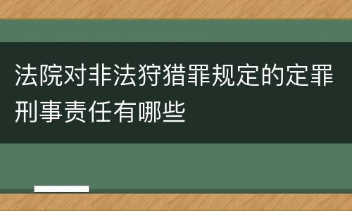 法院对非法狩猎罪规定的定罪刑事责任有哪些
