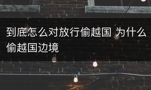 到底怎么对放行偷越国 为什么偷越国边境