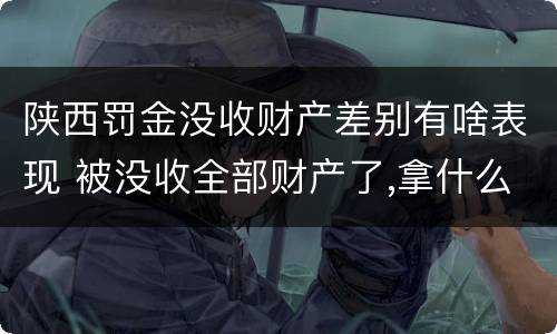 陕西罚金没收财产差别有啥表现 被没收全部财产了,拿什么交罚金