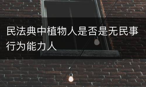 民法典中植物人是否是无民事行为能力人