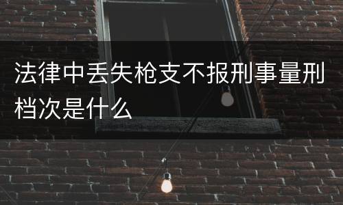 法律中丢失枪支不报刑事量刑档次是什么