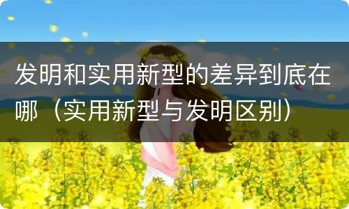 发明和实用新型的差异到底在哪（实用新型与发明区别）