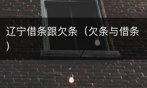 辽宁借条跟欠条（欠条与借条）