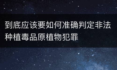 到底应该要如何准确判定非法种植毒品原植物犯罪