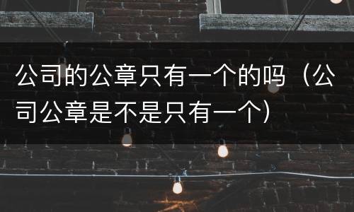 公司的公章只有一个的吗（公司公章是不是只有一个）