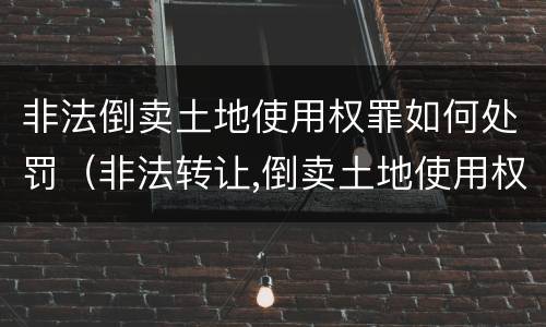 非法倒卖土地使用权罪如何处罚（非法转让,倒卖土地使用权罪）