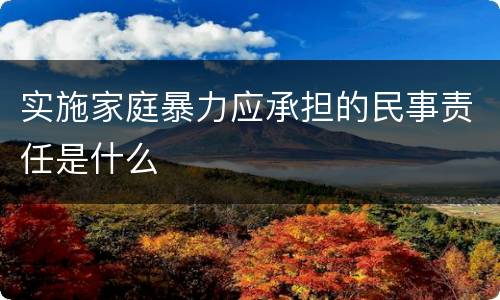 实施家庭暴力应承担的民事责任是什么