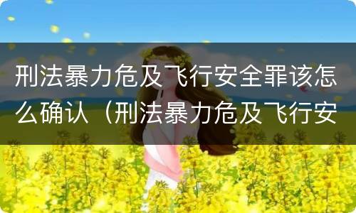 刑法暴力危及飞行安全罪该怎么确认（刑法暴力危及飞行安全罪该怎么确认责任）
