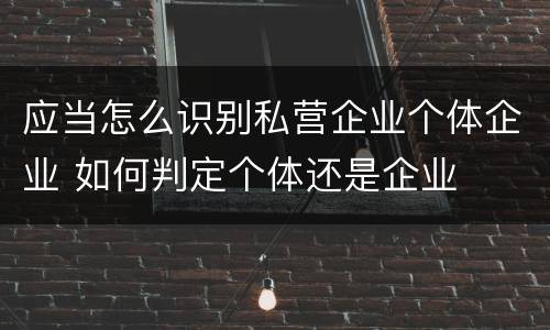 应当怎么识别私营企业个体企业 如何判定个体还是企业