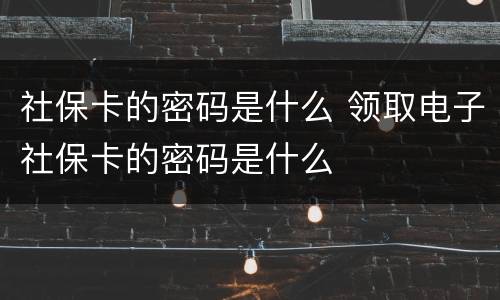 社保卡的密码是什么 领取电子社保卡的密码是什么