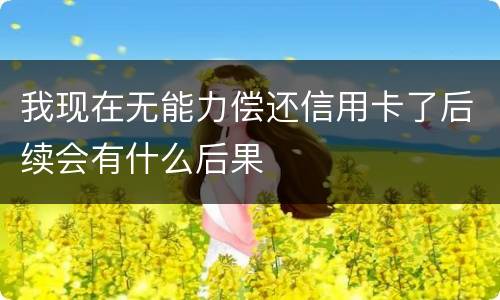 我现在无能力偿还信用卡了后续会有什么后果