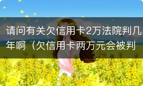 请问有关欠信用卡2万法院判几年啊（欠信用卡两万元会被判坐牢吗）