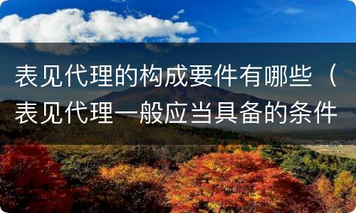 表见代理的构成要件有哪些（表见代理一般应当具备的条件有哪些）