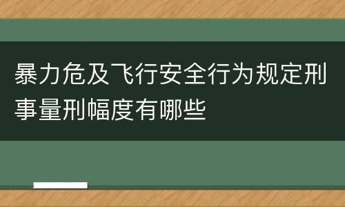 暴力危及飞行安全行为规定刑事量刑幅度有哪些