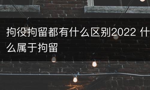 拘役拘留都有什么区别2022 什么属于拘留