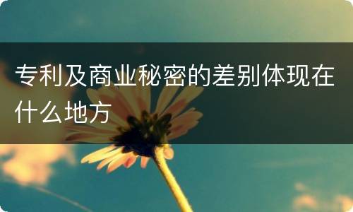 专利及商业秘密的差别体现在什么地方