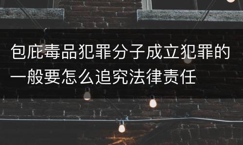 包庇毒品犯罪分子成立犯罪的一般要怎么追究法律责任