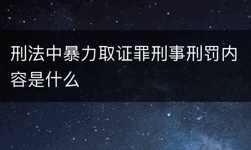 刑法中暴力取证罪刑事刑罚内容是什么