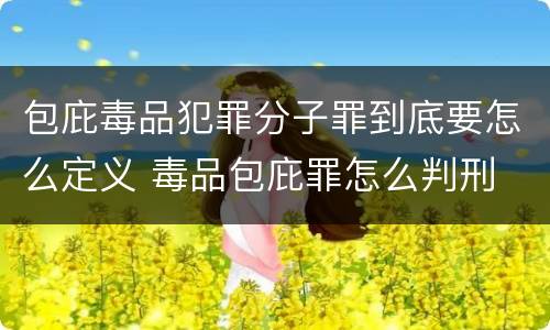 包庇毒品犯罪分子罪到底要怎么定义 毒品包庇罪怎么判刑