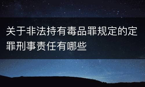 关于非法持有毒品罪规定的定罪刑事责任有哪些