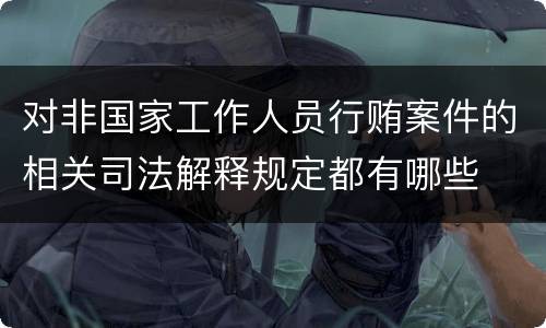 对非国家工作人员行贿案件的相关司法解释规定都有哪些