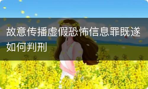 故意传播虚假恐怖信息罪既遂如何判刑