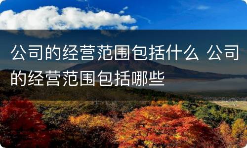 公司的经营范围包括什么 公司的经营范围包括哪些