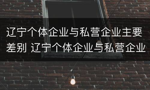 辽宁个体企业与私营企业主要差别 辽宁个体企业与私营企业主要差别有哪些