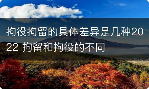 拘役拘留的具体差异是几种2022 拘留和拘役的不同