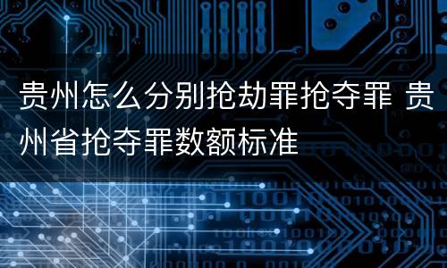 贵州怎么分别抢劫罪抢夺罪 贵州省抢夺罪数额标准
