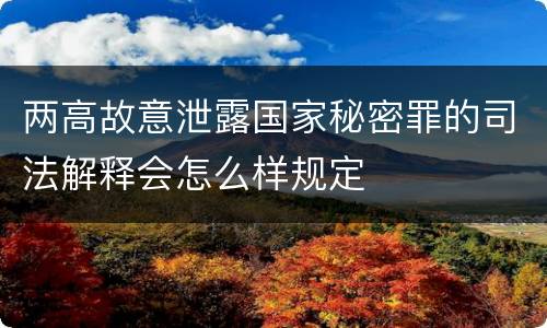 两高故意泄露国家秘密罪的司法解释会怎么样规定