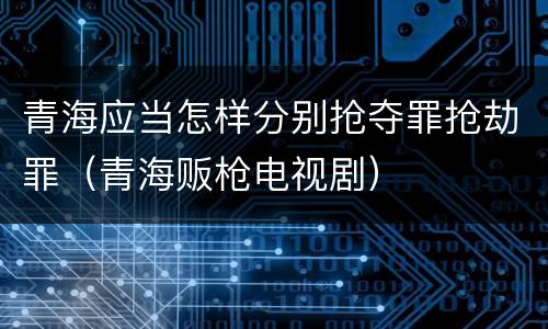 青海应当怎样分别抢夺罪抢劫罪（青海贩枪电视剧）