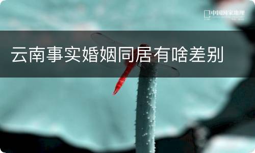 云南事实婚姻同居有啥差别