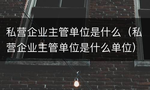 私营企业主管单位是什么（私营企业主管单位是什么单位）