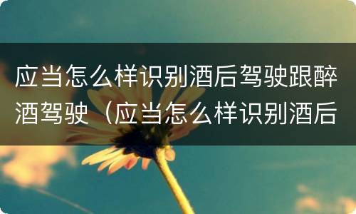 应当怎么样识别酒后驾驶跟醉酒驾驶（应当怎么样识别酒后驾驶跟醉酒驾驶的人）