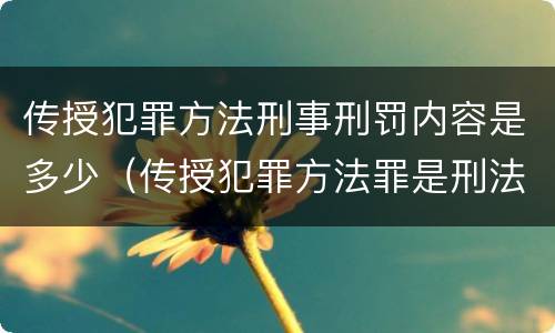 传授犯罪方法刑事刑罚内容是多少（传授犯罪方法罪是刑法第几条）