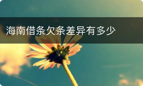 海南借条欠条差异有多少