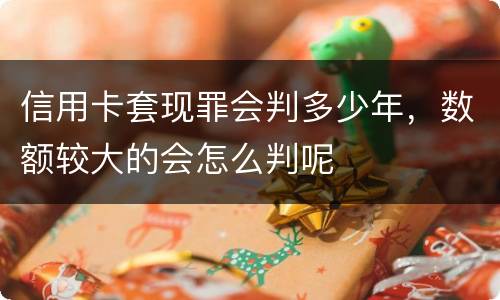 信用卡套现罪会判多少年，数额较大的会怎么判呢