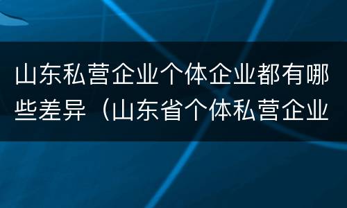 山东私营企业个体企业都有哪些差异（山东省个体私营企业协会）