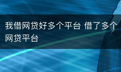 我借网贷好多个平台 借了多个网贷平台
