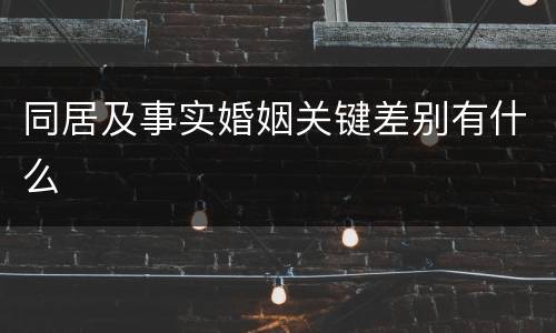 同居及事实婚姻关键差别有什么