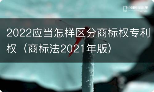 2022应当怎样区分商标权专利权（商标法2021年版）