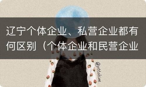 辽宁个体企业、私营企业都有何区别（个体企业和民营企业的区别）