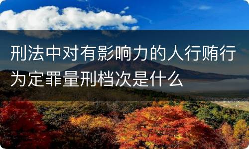 刑法中对有影响力的人行贿行为定罪量刑档次是什么