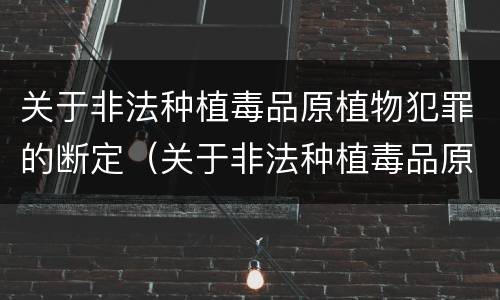 关于非法种植毒品原植物犯罪的断定（关于非法种植毒品原植物犯罪的断定标准）