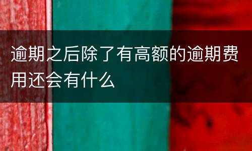 逾期之后除了有高额的逾期费用还会有什么