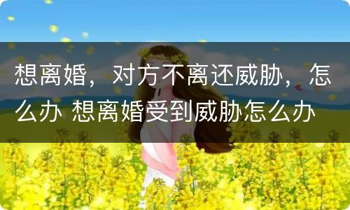 想离婚，对方不离还威胁，怎么办 想离婚受到威胁怎么办